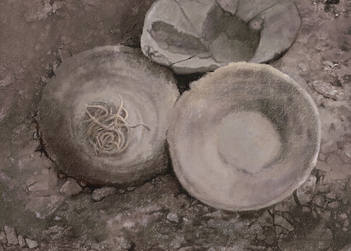 Archaeological find of 4000 year old Chinese noodles