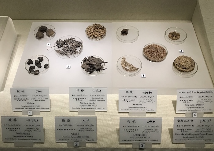 Ancient Chinese dumpling found in Xinjiang museum