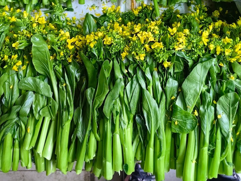 Verdure Cinesi Choy sum