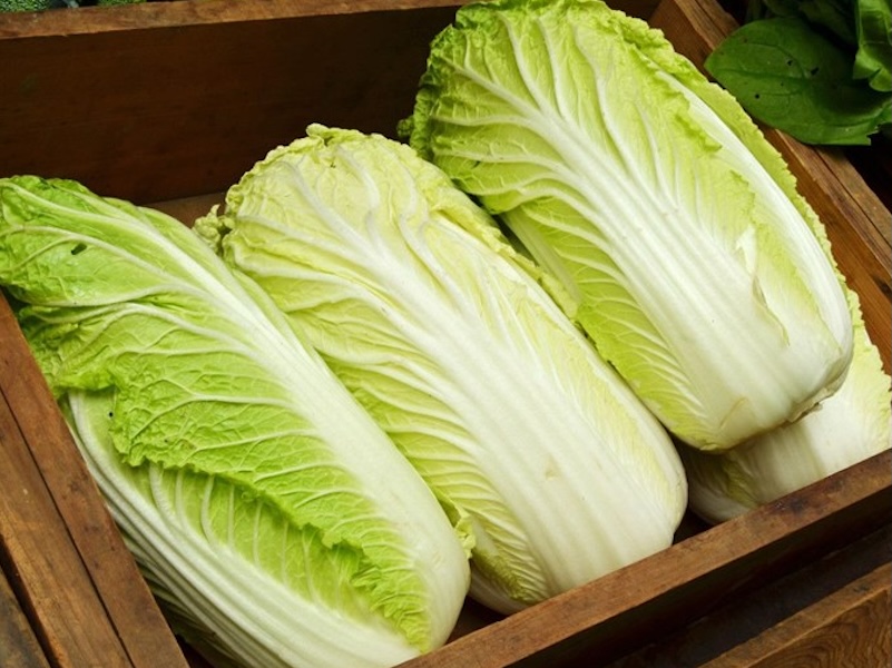 Verdure Cinesi cavolo di pechino napa cabbage
