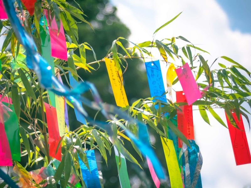 July 7 japan tanabata tree emoji